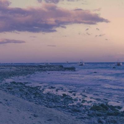 博鱼·综合体育APP下载安装