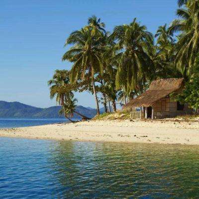 新188app官网下载