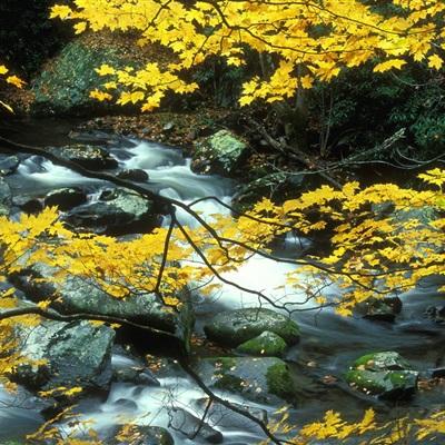 大众彩票入口welcome下载手机版